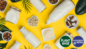 Dairy free Plant Base